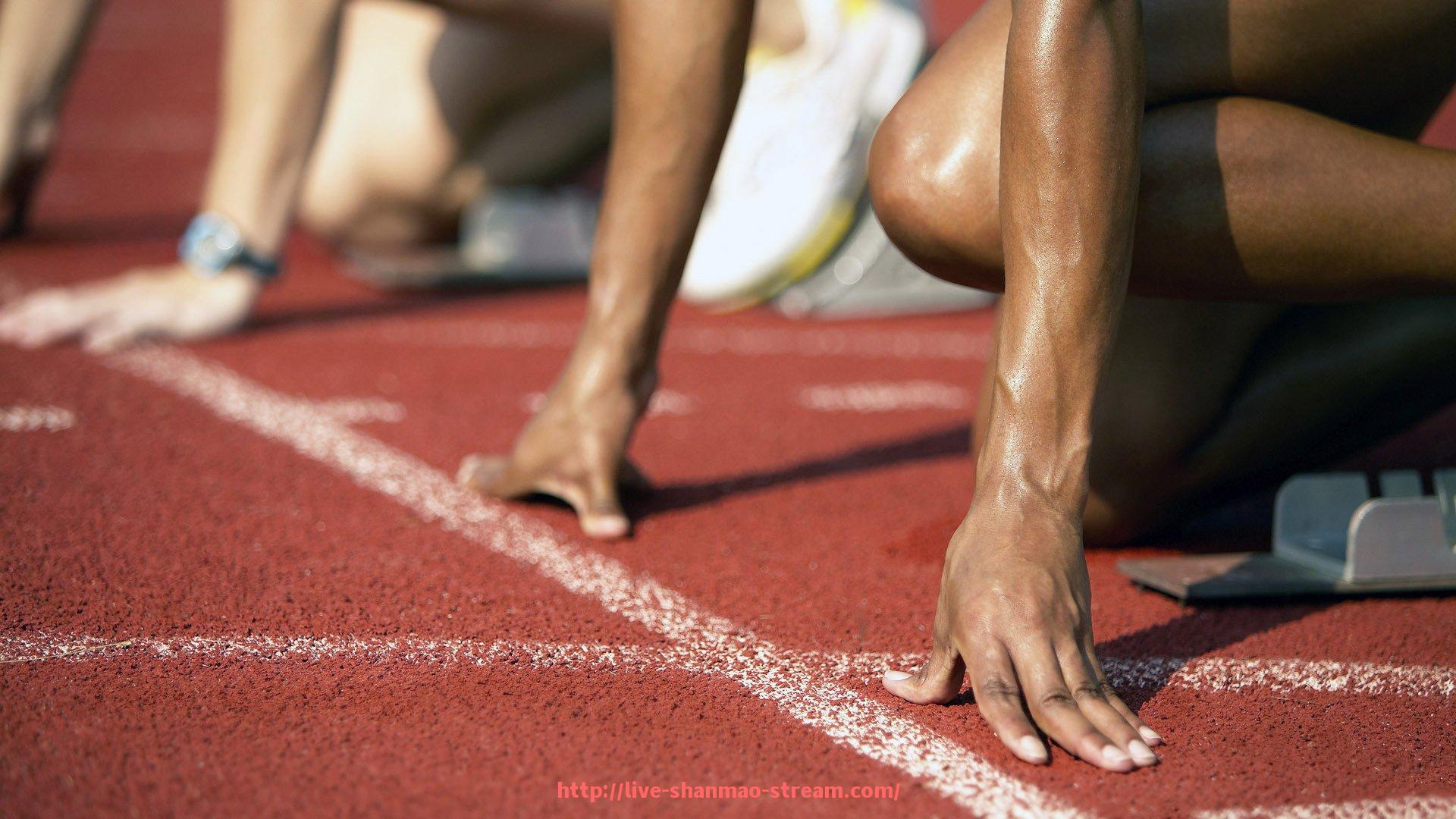 山猫直播官网-法甲里昂边后卫在攻防两端的贡献统计