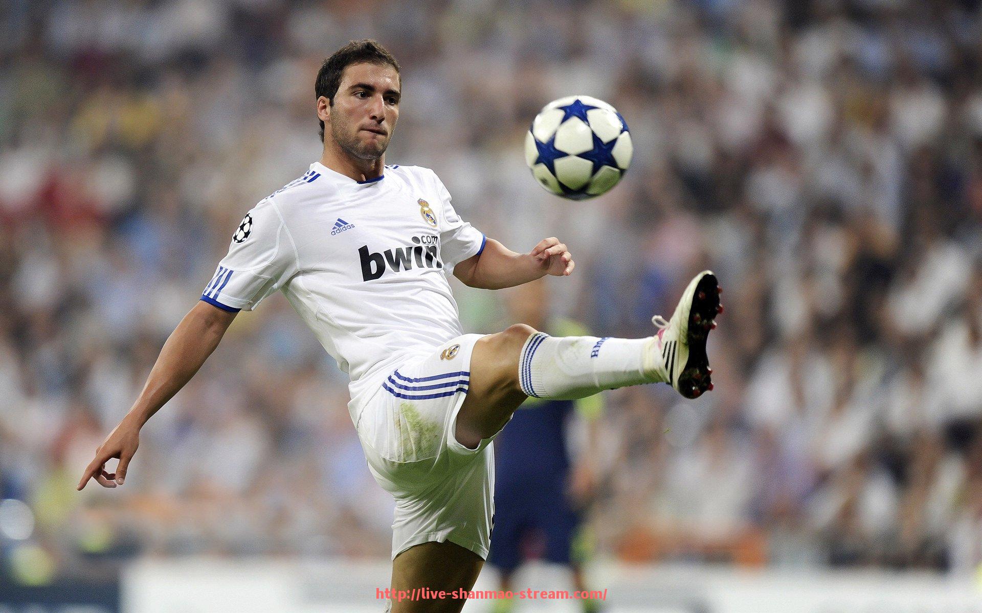 山猫直播官网-国内外有名健身器材品牌对比及市场表现